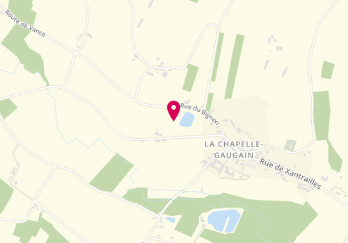 Plan de Y L Cholet Luthiers, 7 Rue du Bignon, 72310 Loir en Vallée
